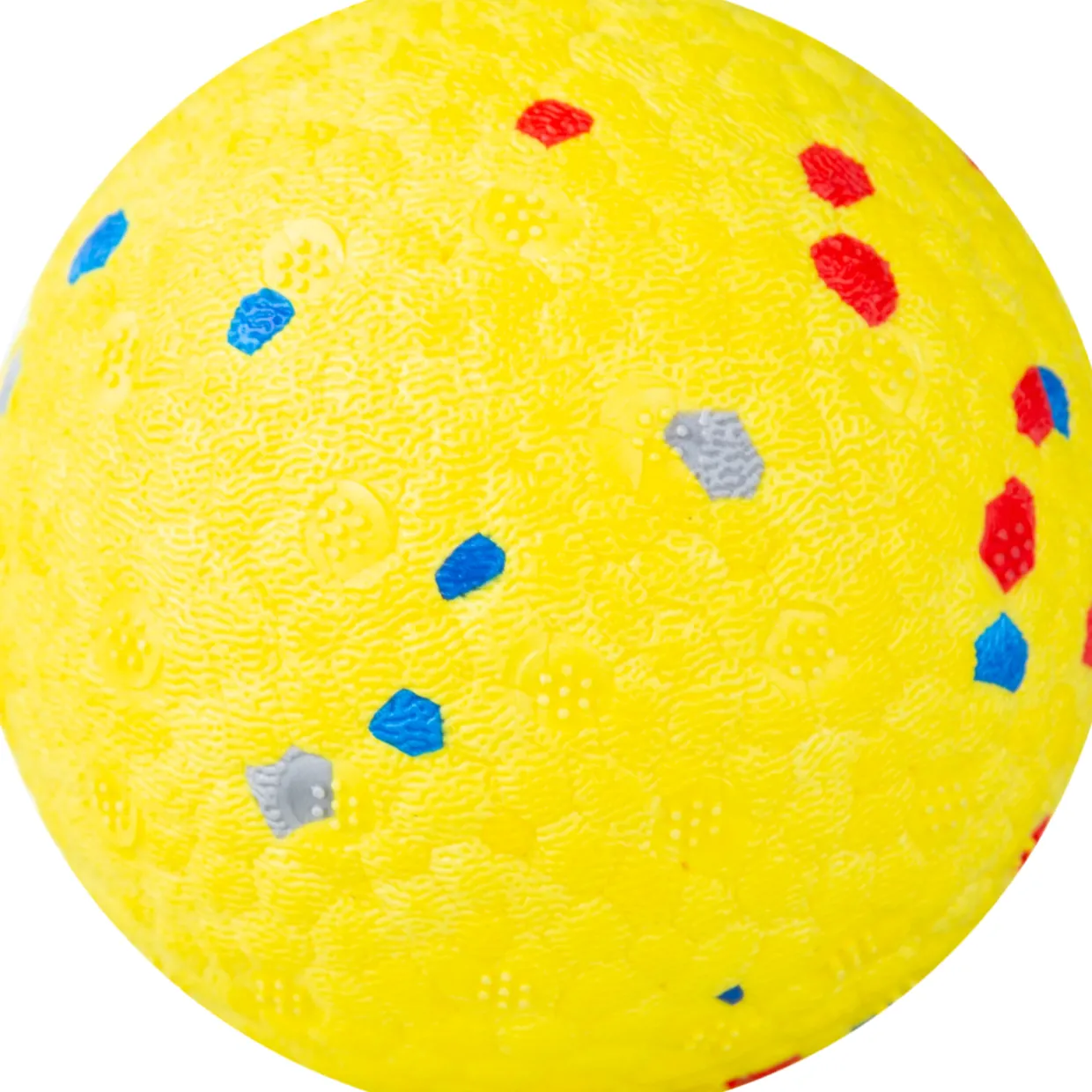 Koiran pallo Real Dog 6,5 cm kelluva