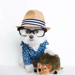 Koiran pehmolelu Outward Hound siili S