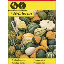 Koristekurpitsa Seos siemen Bröderna Nelsons