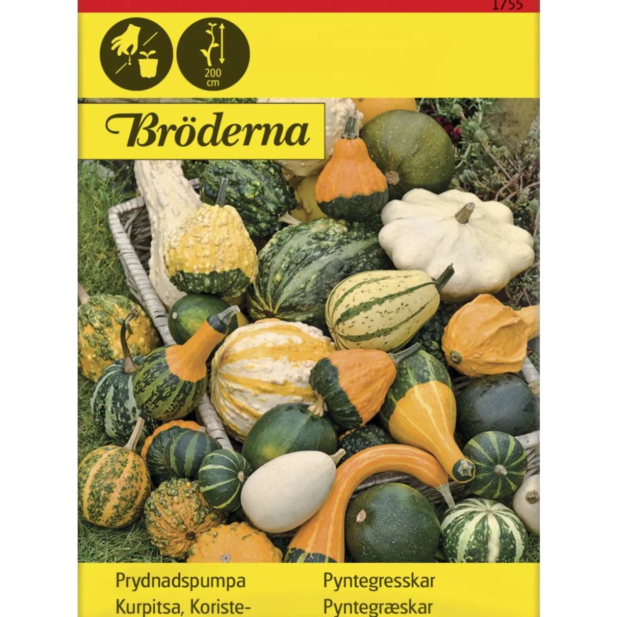 Koristekurpitsa Seos siemen Bröderna Nelsons