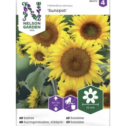 Kääpiöauringonkukka siemen Nelson Garden Basic Sunspot