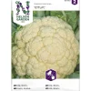 Kukkakaali siemen Nelson Garden Basic Erfurt