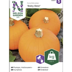 Kurpitsa siemen Nelson Garden Basic Baby Bear
