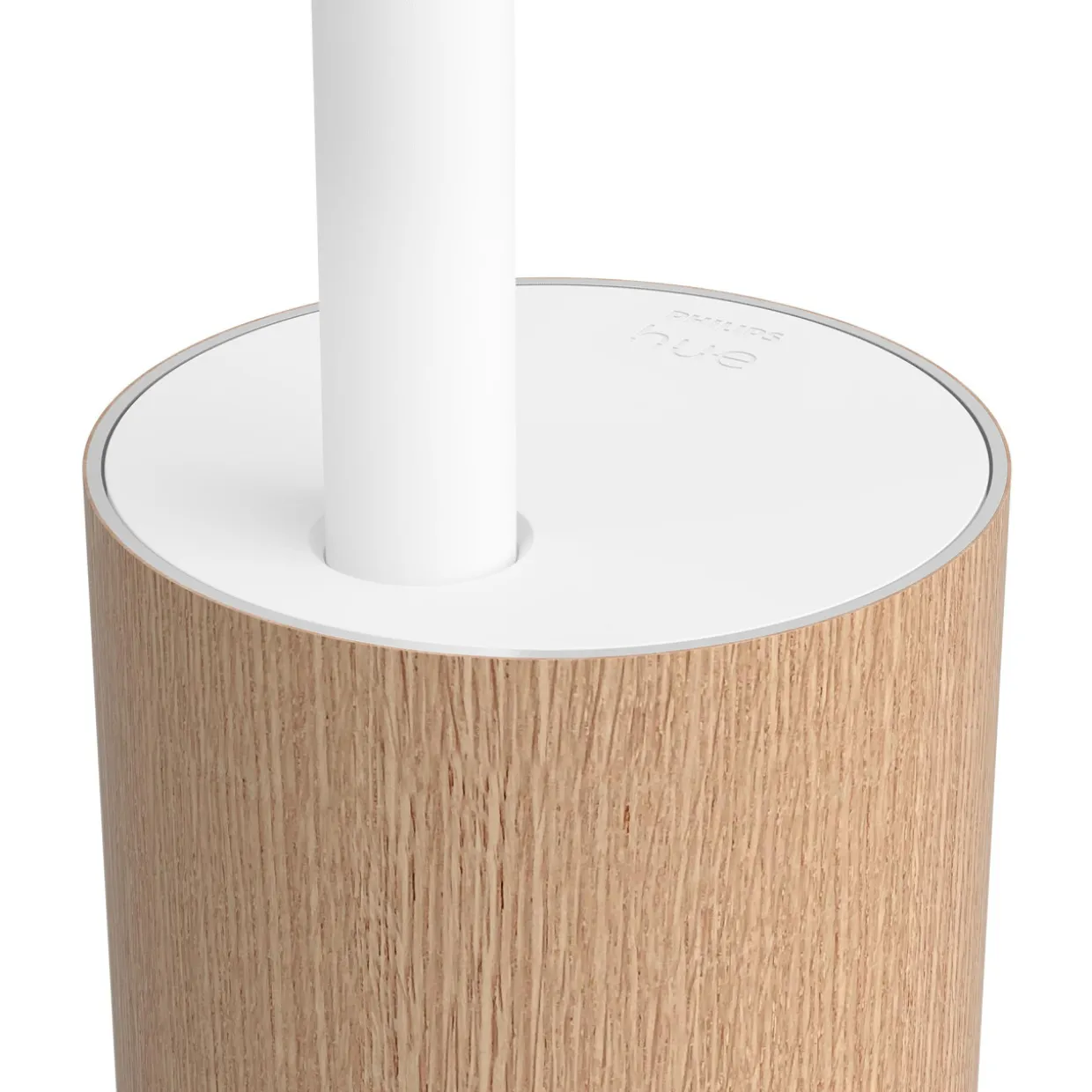 Lattiavalaisin Philips Hue Gradient Signe tammi