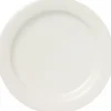 Lautanen 23cm Arctica