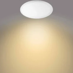 LED-kattovalaisin Philips Wawel 20 W säädettävä