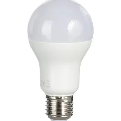 LED-lamppu 1521 lm A60 E27