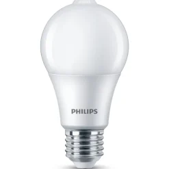 LED-lamppu Philips 60 W E27 huurrettu
