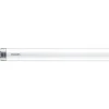LED-putki Philips T8 450 mm 6 W G13 huurrettu