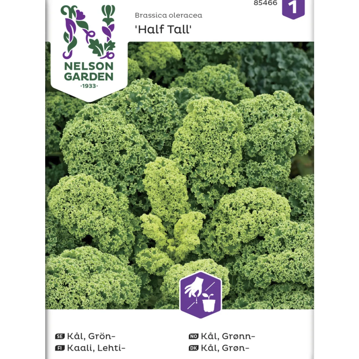Lehtikaali siemen Nelson Garden Basic Westlandse Organic