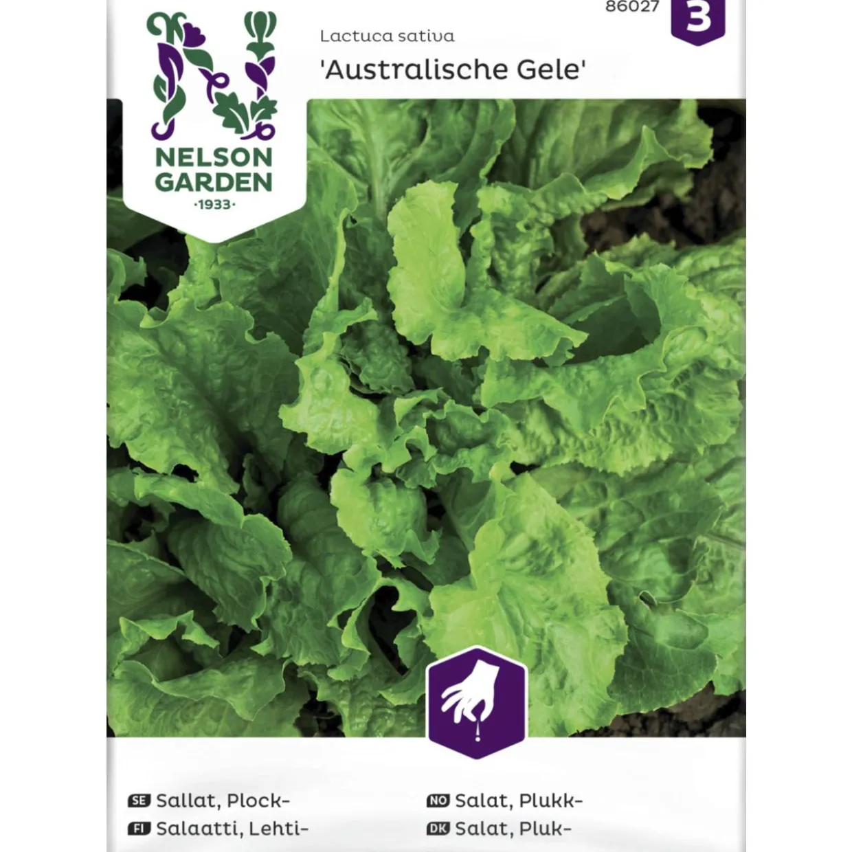Lehtisalaatti siemen Nelson Garden Basic Australialainen