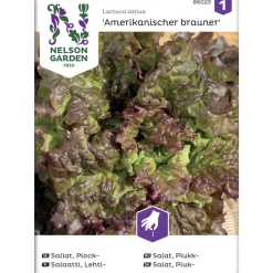 Lehtisalaatti siemen Nelson Garden Basic Amerikkalainen