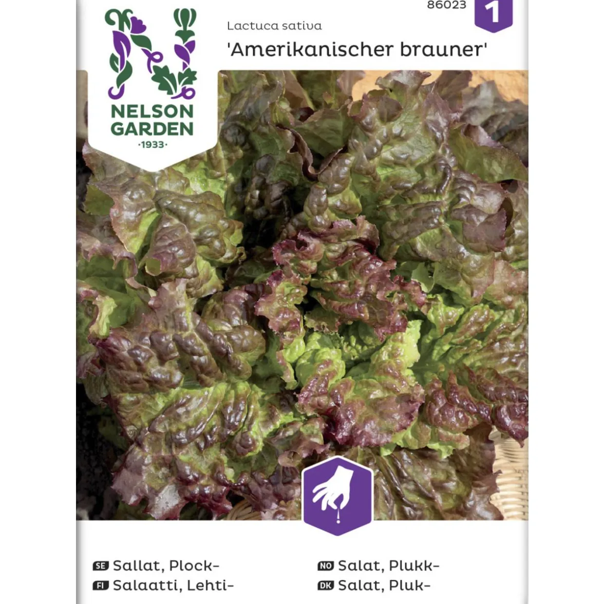 Lehtisalaatti siemen Nelson Garden Basic Amerikkalainen