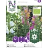 Leijonankita siemen Nelson Garden Basic seos Organic