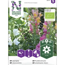 Leijonankita siemen Nelson Garden Basic seos Organic