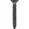 Levyruuvi Arctic Marine DIN7982 3,9x25 A4