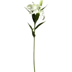 Lilja Kotikulta 58 cm