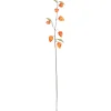 Lyhtykoiso Kotikulta 95 cm