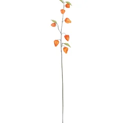 Lyhtykoiso Kotikulta 95 cm