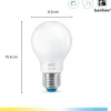 Älylamppu WiZ Tunable White 60 W E27, huurrettu
