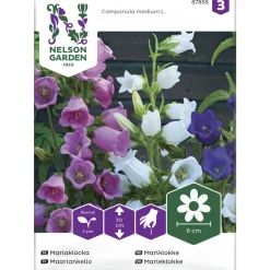 Maariankello siemen Nelson Garden Basic seos