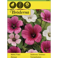 maloppi siemen Bröderna Nelsons