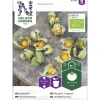Mansikkakoiso siemen Nelson Garden Basic Organic