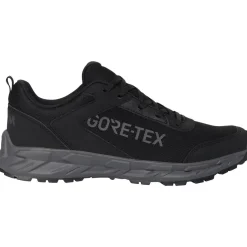 Miesten vedenpitävät trekkingkengät Aerym low Addison GTX
