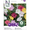 Mökinihmekukka siemen Nelson Garden Basic väriseos