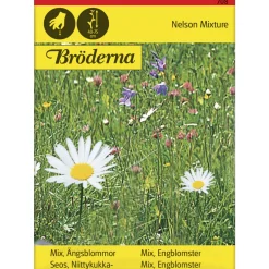 Niittykukkaseos siemen Bröderna Nelsons