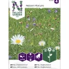 Niittykukkaseos siemen Nelson Garden Basic