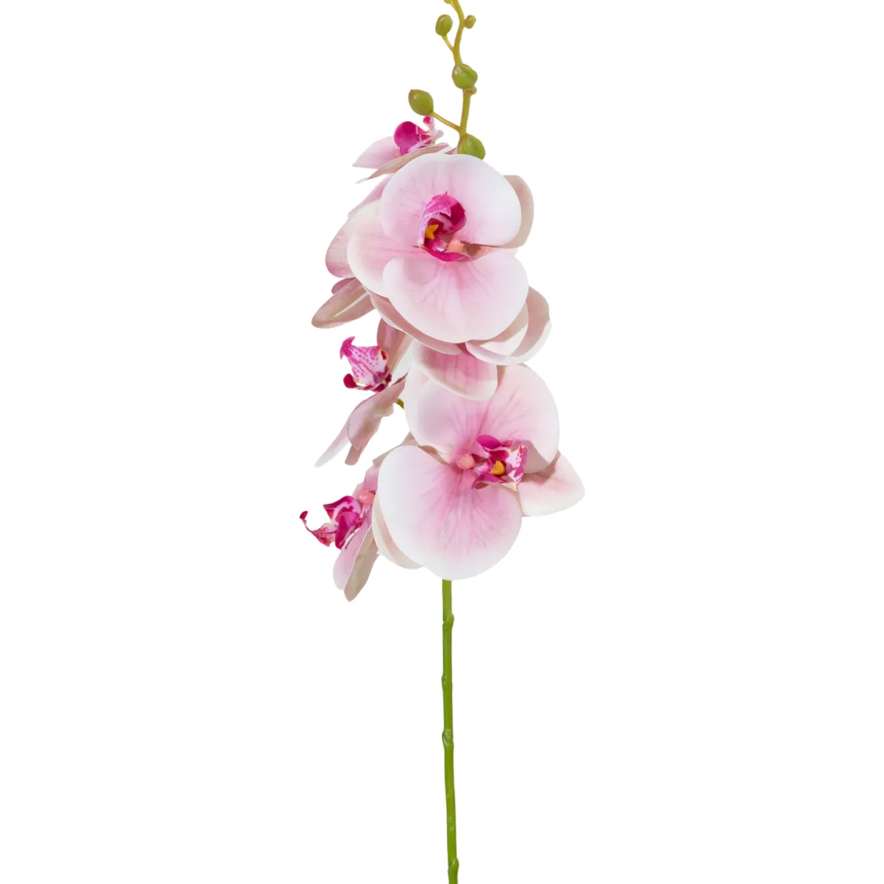 Orkideaoksa Kotikulta 94 cm vaaleanpunainen