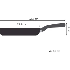 Paistinpannu Tefal 24 cm Expertise Plus