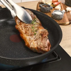 Paistinpannu Tefal 24 cm Expertise Plus