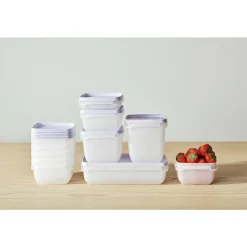Pakastusrasia SmartStore 6 x 0,3 l Frost laventeli