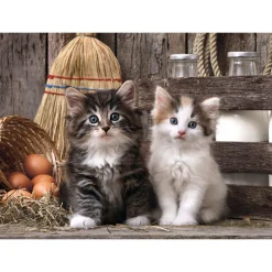 Palapeli Clementoni 1000 palaa Lovely Kittens