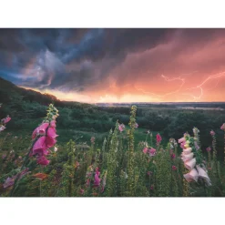 Palapeli Ravensburger 1000 palaa Dreamy Thunder