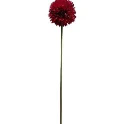 Pallokrysanteemi Kotikulta 62 cm