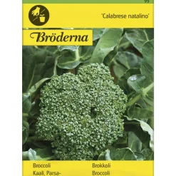 Parsakaali Calabrese natalino siemen Bröderna Nelsons