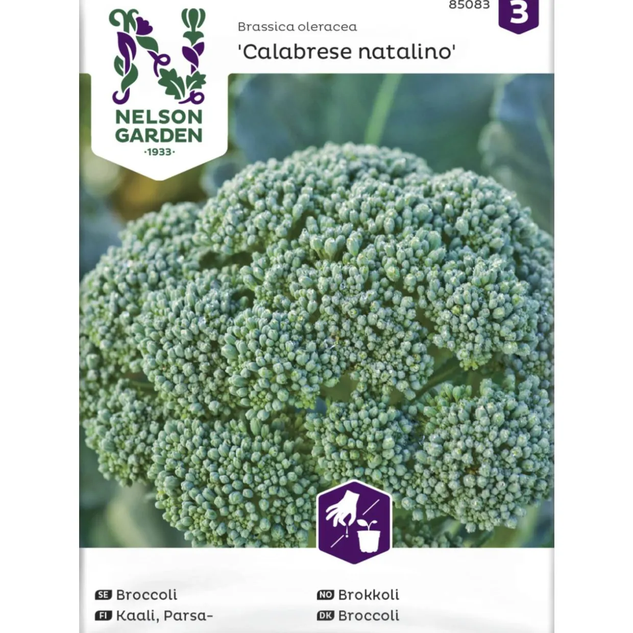 Parsakaali siemen Nelson Garden Basic Calabrese natalino