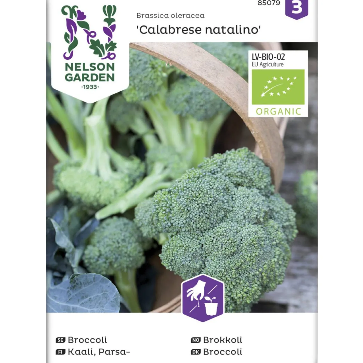 Parsakaali siemen Nelson Garden Basic Calabrese Org.