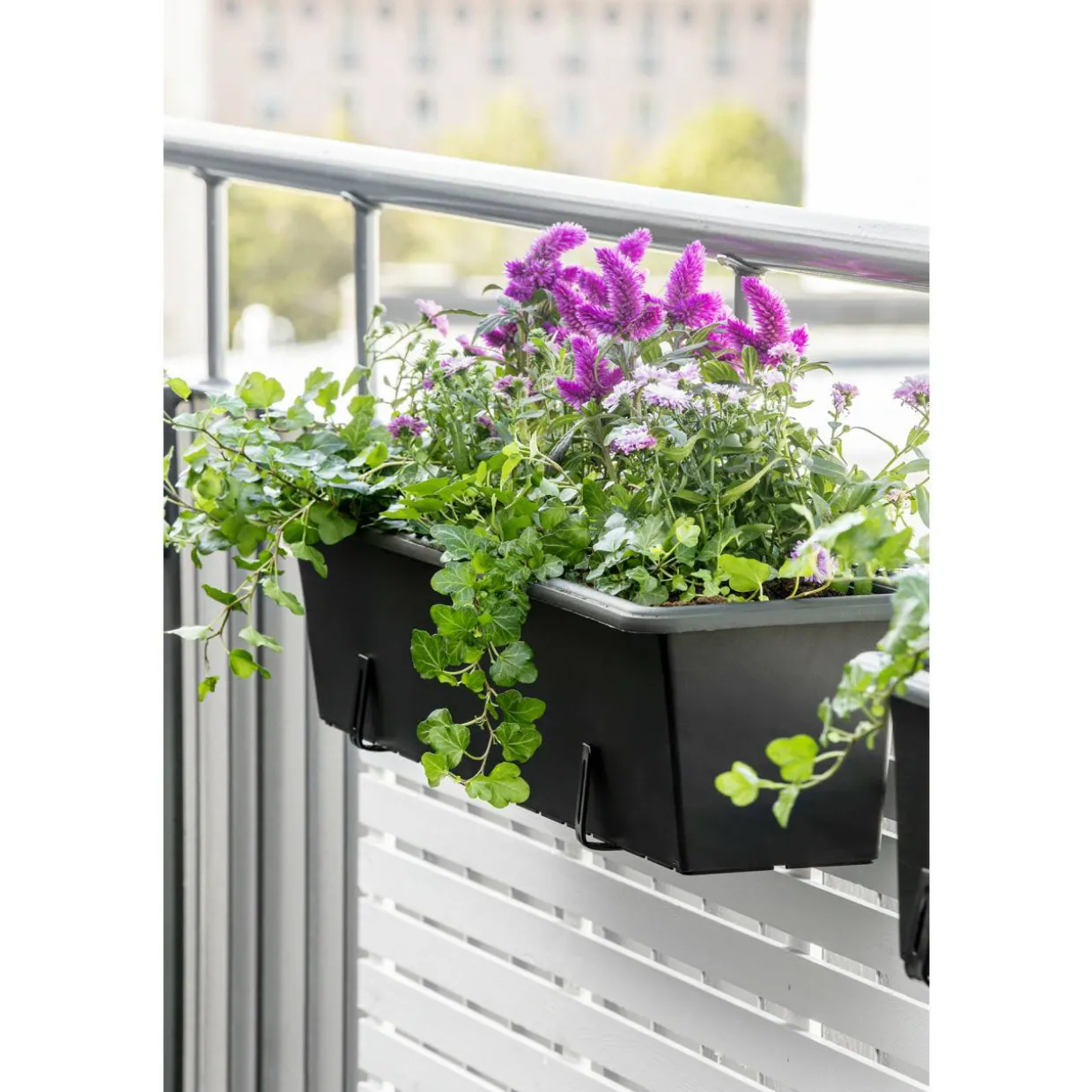 Parvekelaatikko Orthex 80 cm Botanica musta