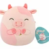 Pehmolelu Squishmallows 19 cm P25 Austin