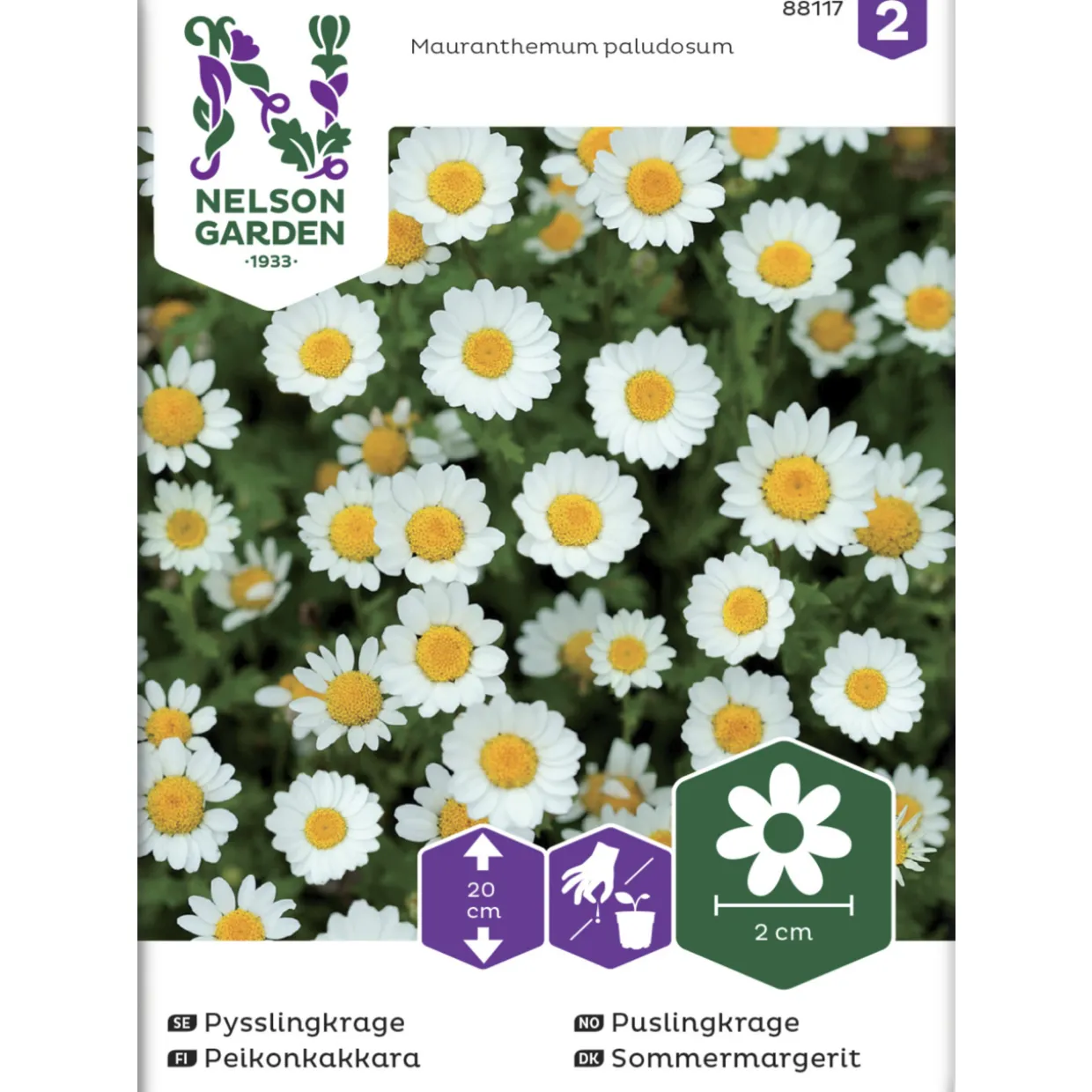 Peikonkakkara siemen Nelson Garden Basic