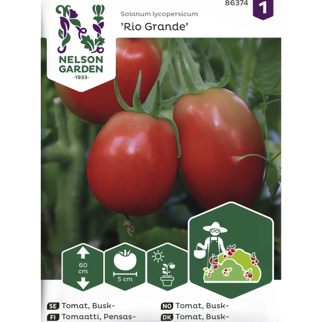 Pensastomaatti siemen Nelson Garden Basic Rio Grande