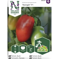 Pensastomaatti siemen Nelson Garden Basic Ranger F1