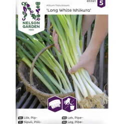 Pillisipuli siemen Nelson Garden Basic Kylvönauha