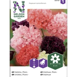 Pioniunikko siemen Nelson Garden Basic väriseos