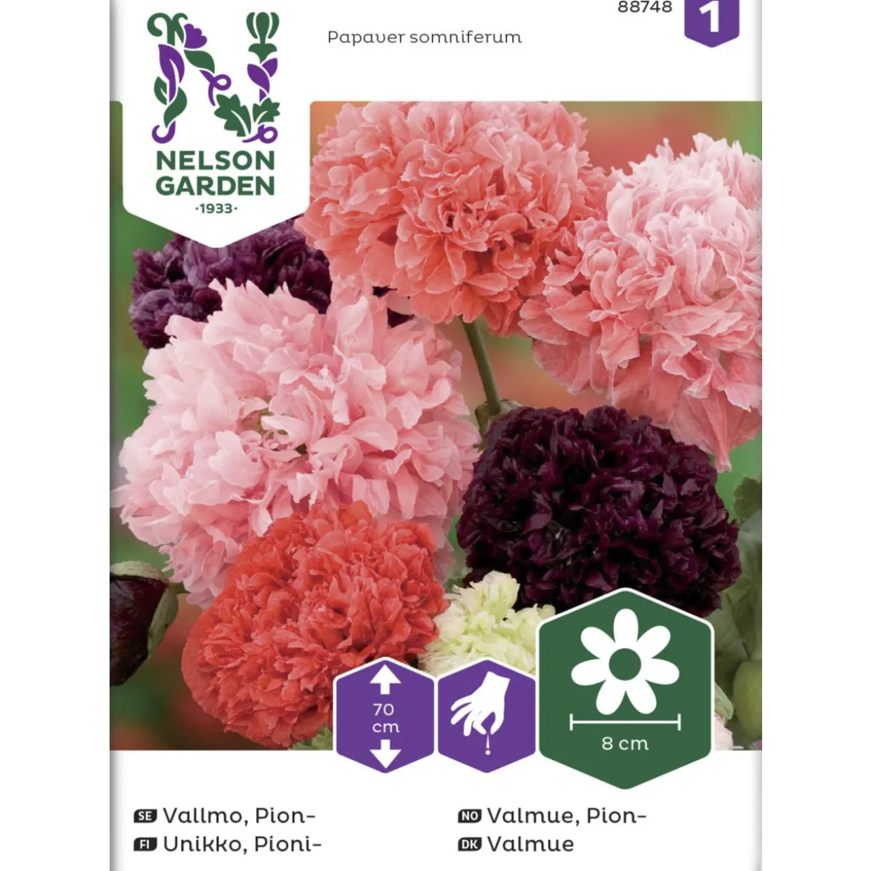 Pioniunikko siemen Nelson Garden Basic väriseos