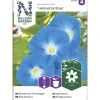Päivänsini siemen Nelson Garden Basic Heavenly Blue